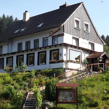 Sonneneck